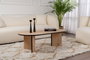Nordure Mesa de Centro Roble Zafiro y Negro, Tablero de 18mm de Partículas Melaminadas, Elegante y Funcional